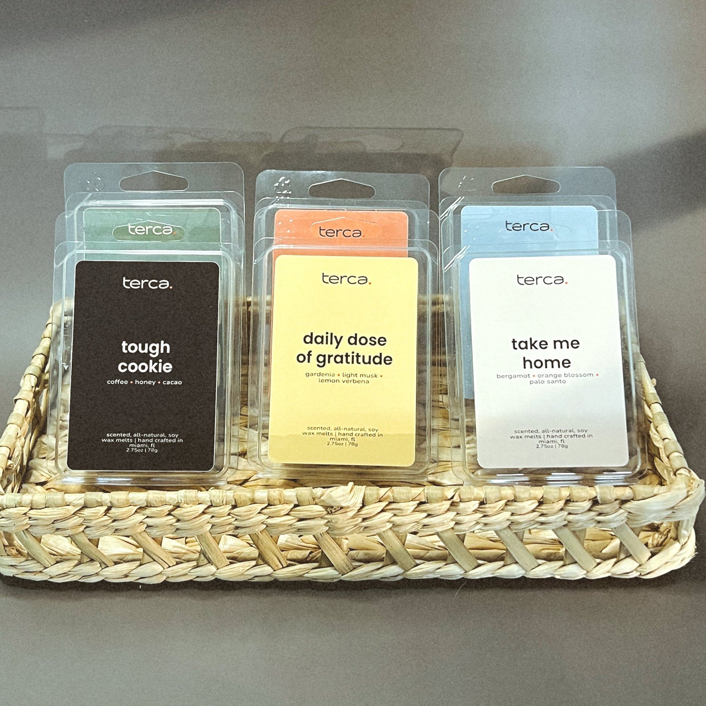 Take Me Home Wax Melts