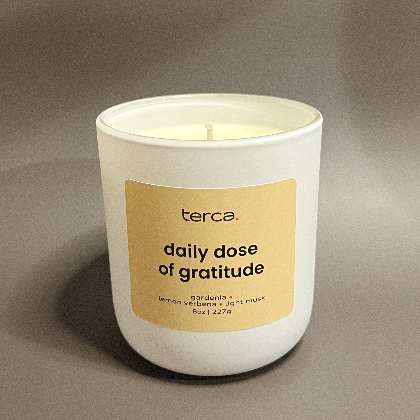 Daily Dose of Gratitude - Scented Candle